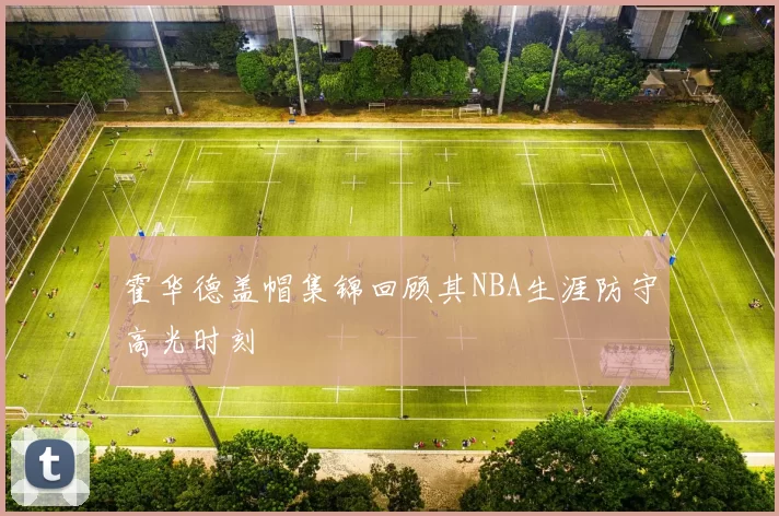 霍华德盖帽集锦回顾其NBA生涯防守高光时刻