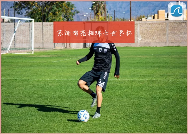 苏翊鸣亮相瑞士世界杯