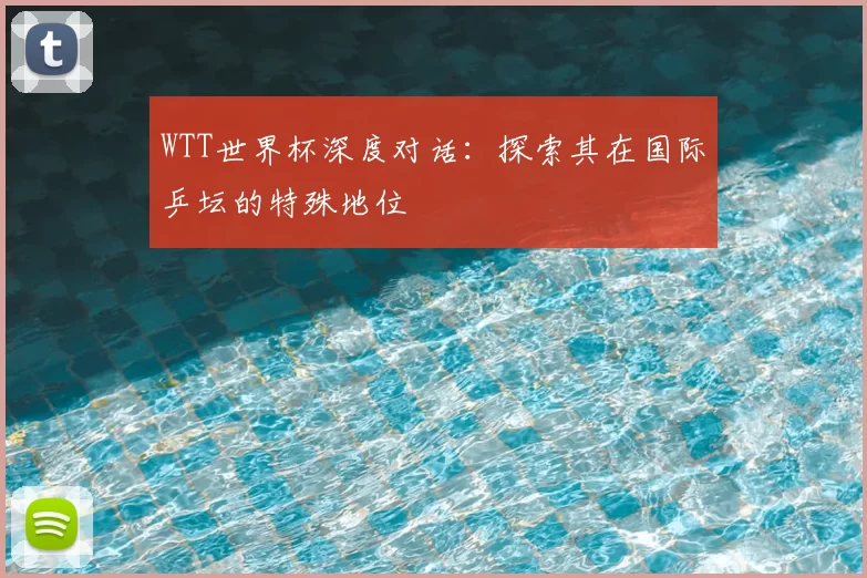 WTT世界杯深度对话:探索其在国际乒坛的特殊地位