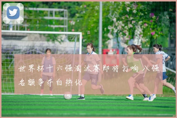 世界杯十六强淘汰赛即将打响 八强名额争夺白热化