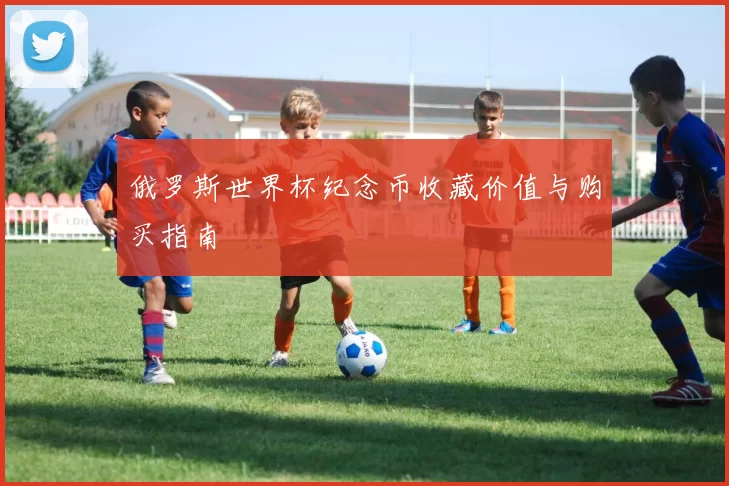 俄罗斯世界杯纪念币收藏价值与购买指南