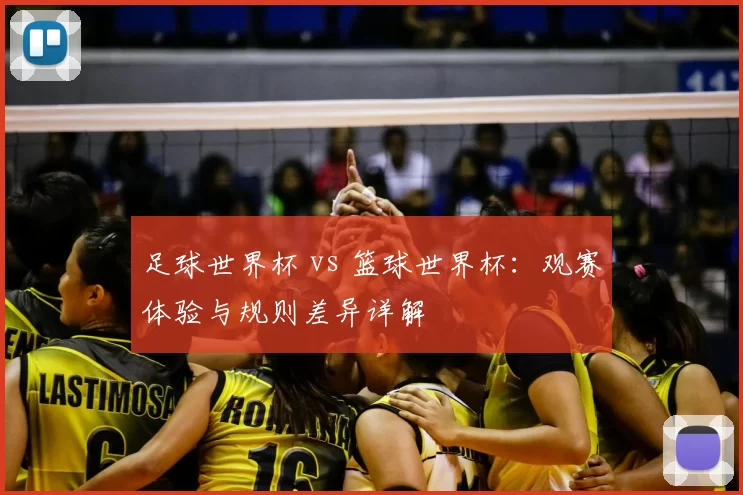 足球世界杯 vs 篮球世界杯:观赛体验与规则差异详解