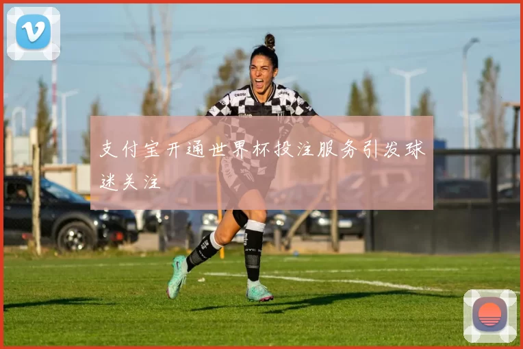 支付宝开通世界杯投注服务引发球迷关注