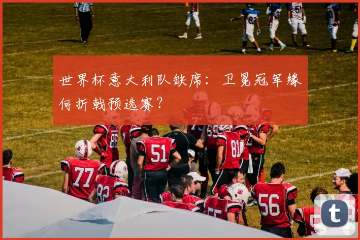 世界杯意大利队缺席:卫冕冠军缘何折戟预选赛?