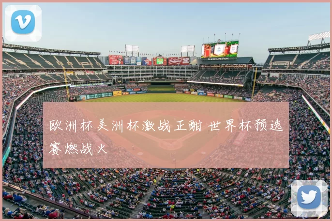 欧洲杯美洲杯激战正酣 世界杯预选赛燃战火